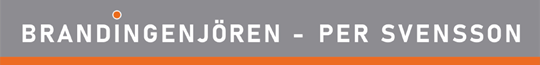 Logo_2021_Brandingenjoeren_Endast-namnet_Liten-2.png